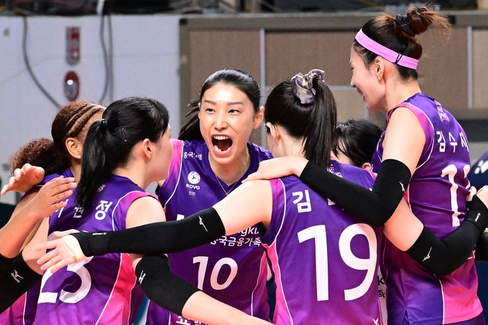 제공 | 한국배구연맹