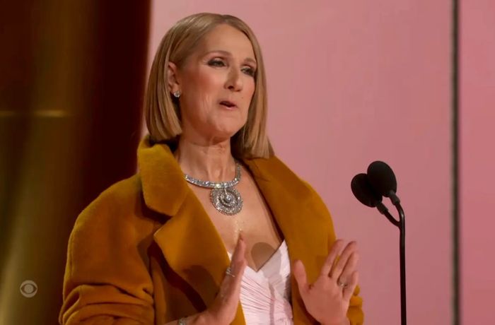 가수 셀린 디온. 사진 | CBS