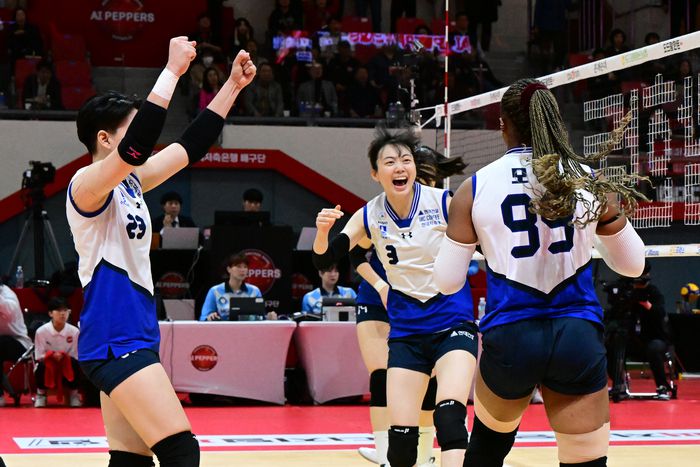 제공 | 한국배구연맹