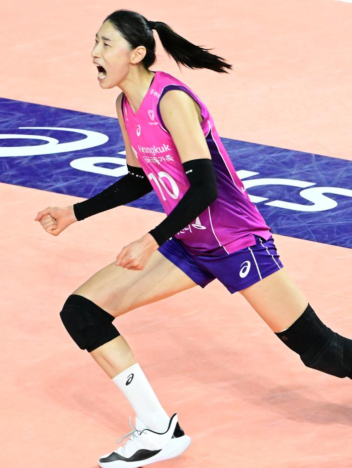 제공 | 한국배구연맹