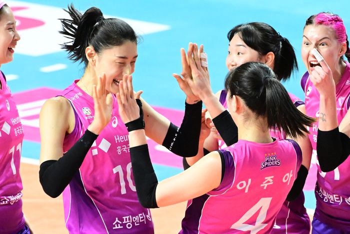 제공 | 한국배구연맹