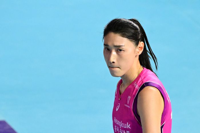 제공 | 한국배구연맹