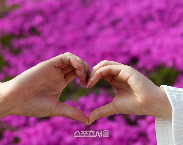 에버랜드의 하늘정원길에서 한 커플이 사랑을 속삭이고 있다. 이주상기자 rainbow@sportsseoul.com