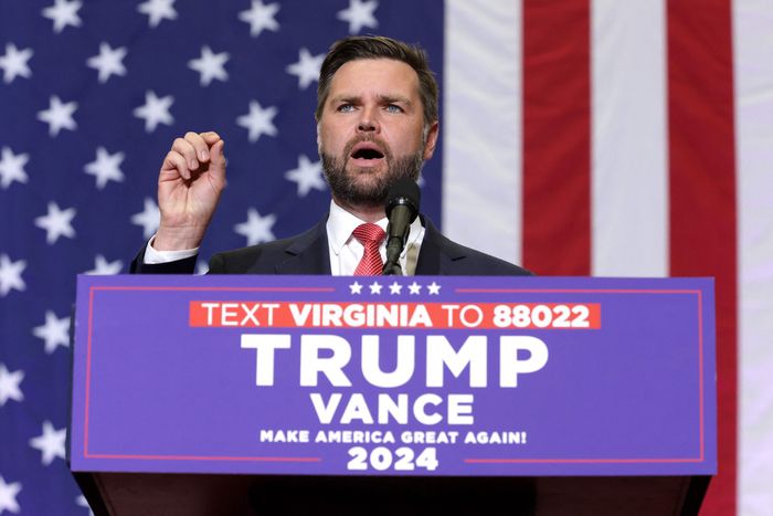 미국 공화당 부통령 후보 J.D.밴스가 지난 22일(현지시간) 미국 버지니아주 래드포드 대학을 찾아 연설하고 있다. 버지니아 | AFP연합뉴스