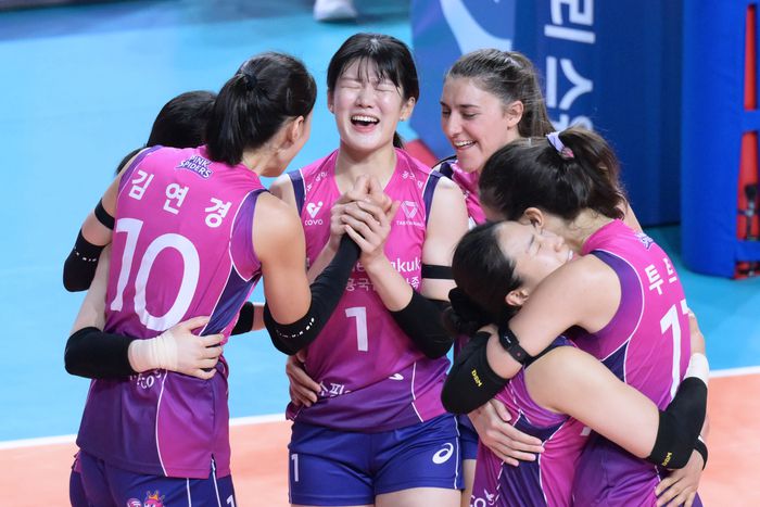 제공 | 한국배구연맹