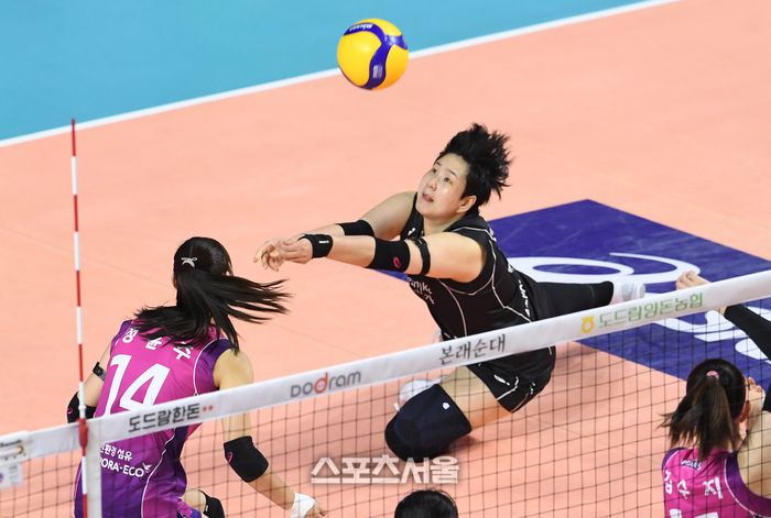 흥국생명 신연경이 25일 인천 삼산월드체육관에서 열린 2024-2025 V리그 여자부 IBK기업은행과 경기에서 공을 살려내고 있다. 2025. 2. 25. 인천 | 박진업 기자 upandup@sportsseoul.com