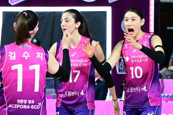 제공 | 한국배구연맹