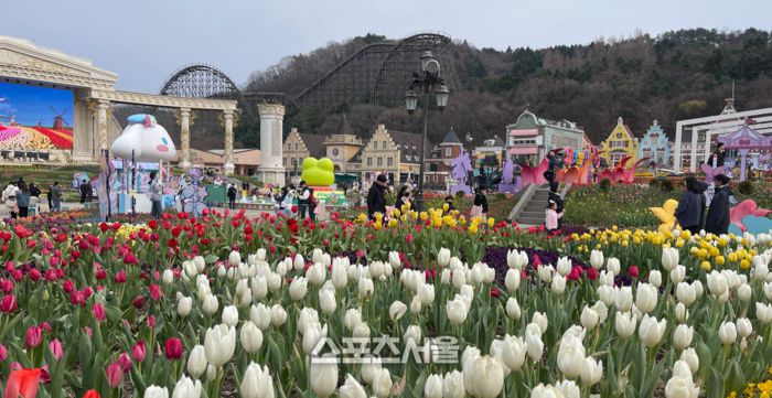 에버랜드 정원에 활짝 핀 튤립이 관람객을 맞이하고 있다. 용인 | 원성윤 기자 socool@sportsseoul.com