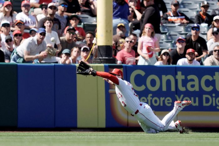 이정후의 타구가 LAA 좌익수 테일러 워드에게 잡히는 순간. 연합외신