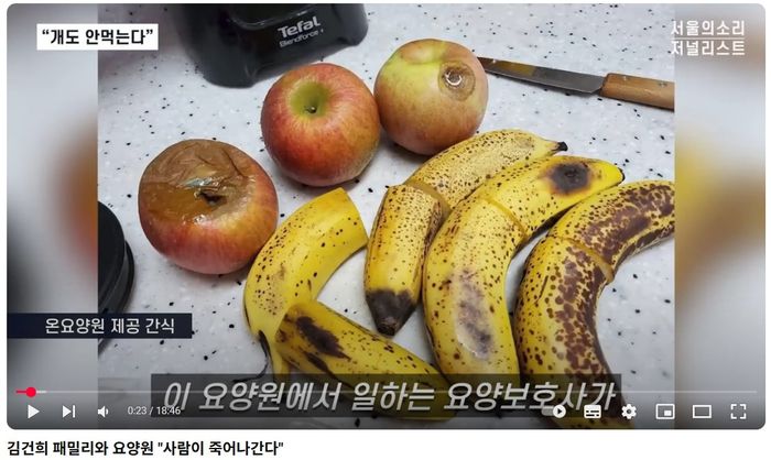 서울의 소리 캡처