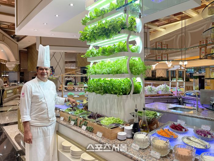 수경재배로 키운 식물을 샐러드로 제공하고 있는 모습. 마닐라 | 원성윤 기자 socool@sportsseoul.com