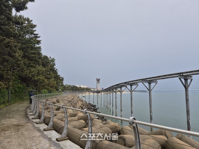 대천항 해안 길