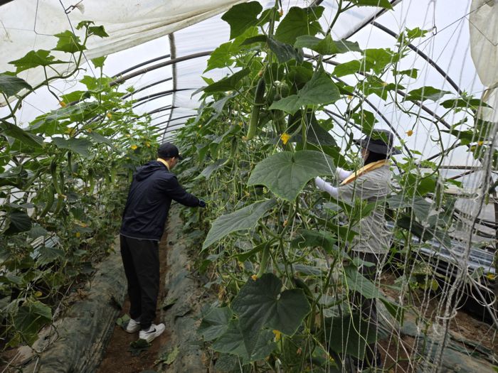 사진|강원특별자치도청