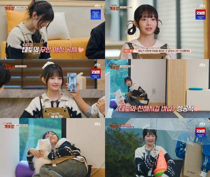 아이브 레이. 사진 | JTBC ‘집 나가면 개호강’ 방송 캡처