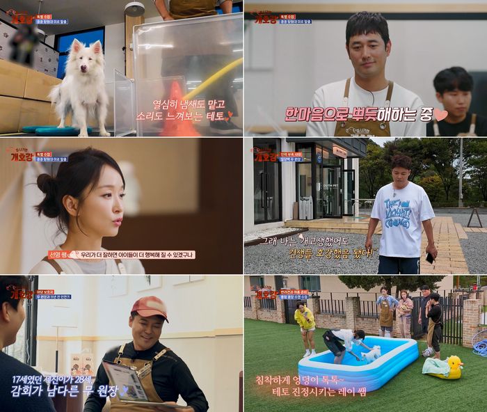 전현무, 강소라, 조한선, 박선영, 레이. 사진 | JTBC ‘집 나가면 개호강’