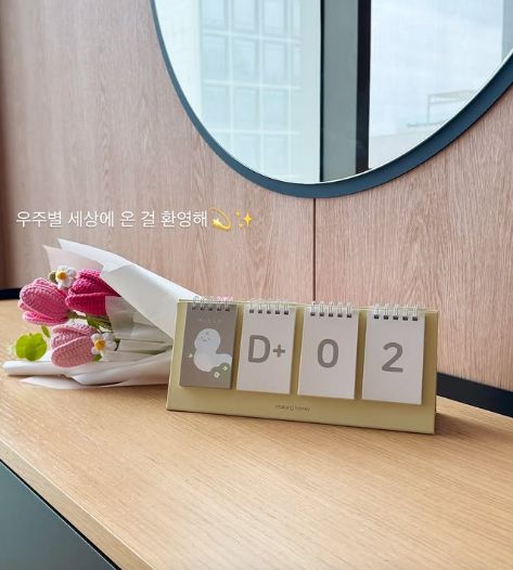 레이디제인 인스타그램.