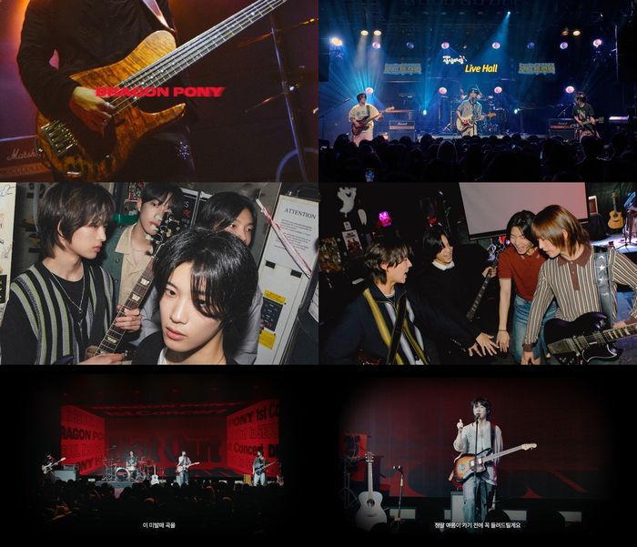 드래곤포니. 사진| 안테나