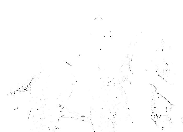 박보검-수지. 수지 인스타그램.