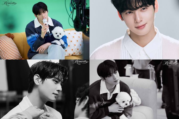 차은우. 사진 | AMAZE