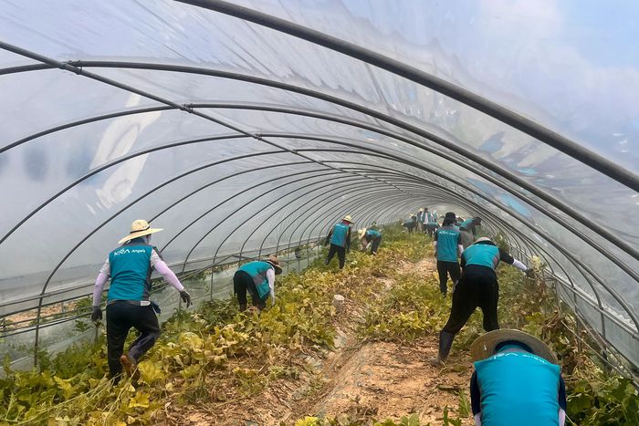 사진 | 한국마사회