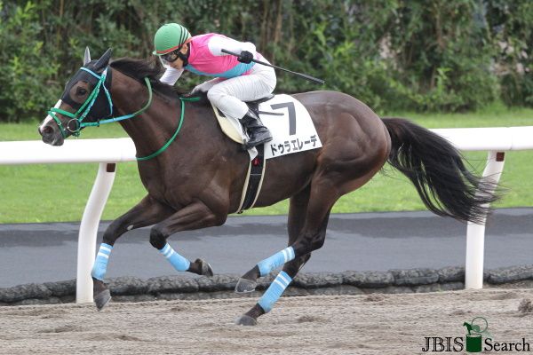 두라에레데.  사진 | 한국마사회