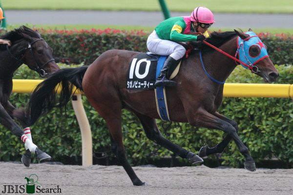 타가노뷰티.  사진 | 한국마사회