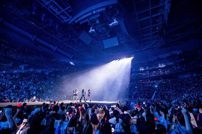 베이비몬스터. 사진 | YG엔터테인먼트