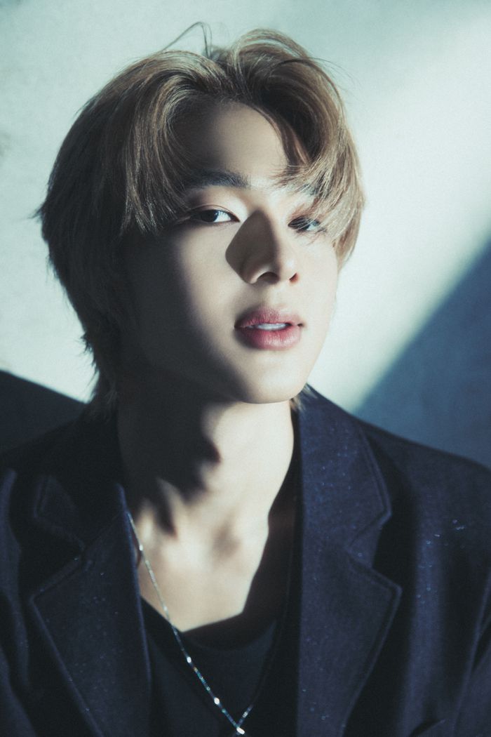 누뉴 차와린. 사진 | DOMUNDI