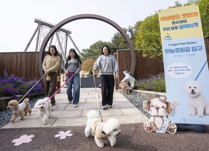 반려견과 함께 에버랜드를 찾은 고객들이 산책로에서 나들이를 즐기고 있다. 사진 | 삼성물산