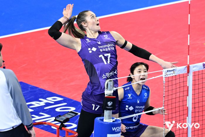 제공 | 한국배구연맹