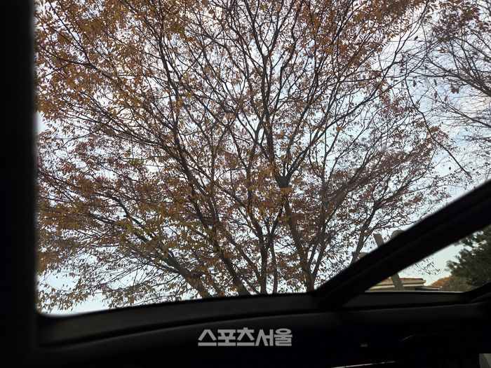 벤츠 GLS580 운전석에 바라본 천장 모습. 광활하게 펼쳐진 하늘과 단풍이 쏟아진다. 양평 | 원성윤 기자 socool@sportsseoul.com