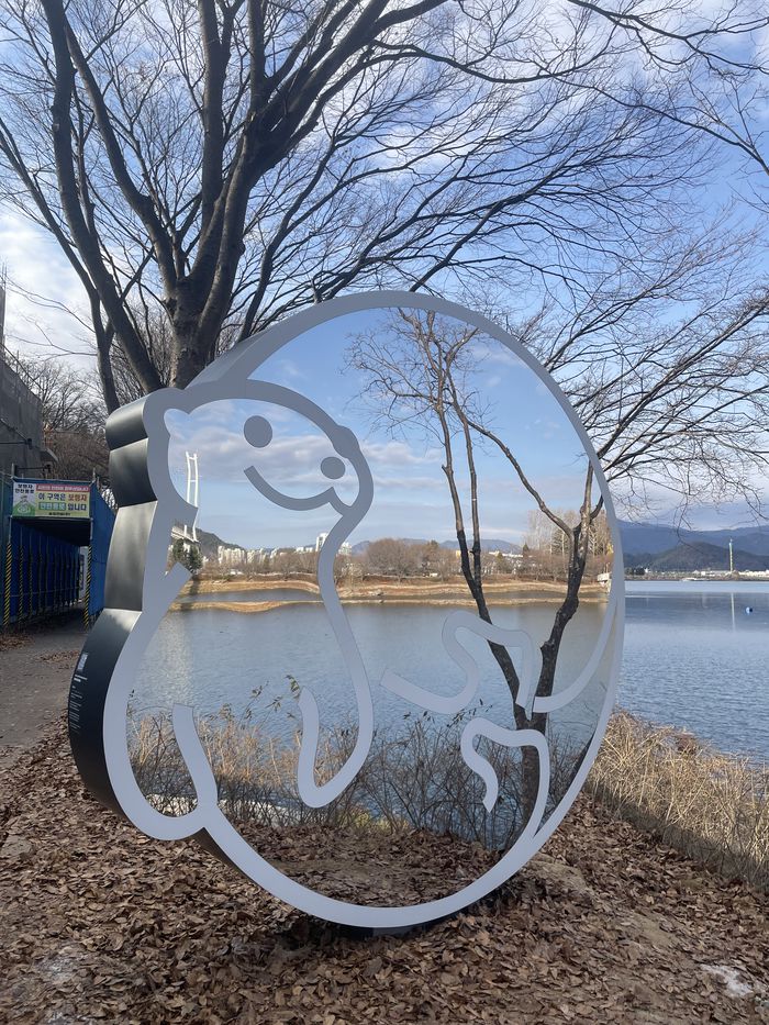 의암호 포토스팟_물수달.  사진|춘천시청