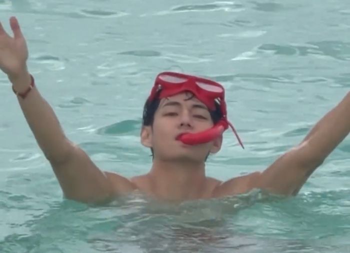 사진|뷔브이로그