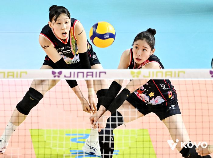 리시브하는 인쿠시.제공 | 한국배구연맹