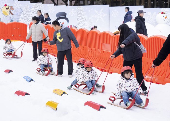 에버랜드 ‘붕어빵 러쉬’ 현장을 찾은 다섯 쌍둥이 가족이 스노우 플레이그라운드에서 썰매를 타고 있다. 사진ㅣ삼성물산