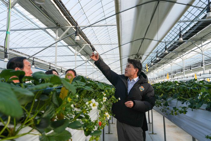 김진태 강원특별자치도지사가 7일  양구군 시설원예 농가를 방문해 한파와 폭설 대비 상황을 집중 점검하고 있다.  사진|강원특별자치도청