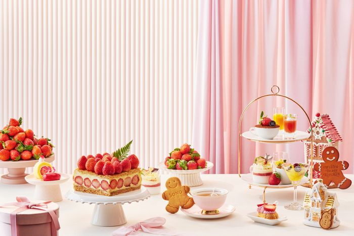 딸기 디저트 뷔페. 사진 | 소노호텔앤리조트