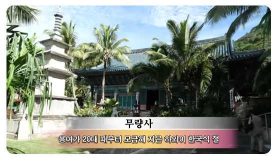 사진|선우용녀채널캡처