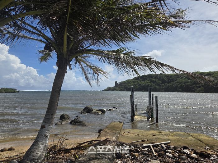 괌 최남단 메리조 부두의 한적한 풍경. 기울어진 야자수와 낡은 나무 데크가 만들어내는 고즈넉함이 남부 드라이브의 정취를 더한다. 괌 | 원성윤 기자 socool@sportsseoul.com