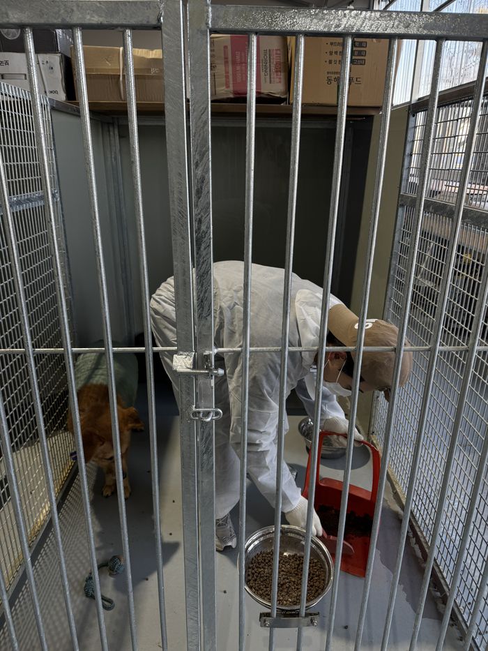 SSG 이지영이 최근 경기도 김포에 위치한 유기견 보호소 아지네 마을에서 봉사활동을 진행했다. 이번 봉사에는 SSG 조형우, 최준우, 한두솔, 최민준과 키움 김성민도 참여했다. 사진 | SSG 랜더스