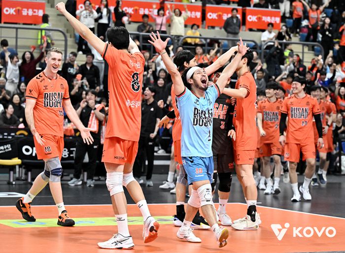 사진 | 한국배구연맹