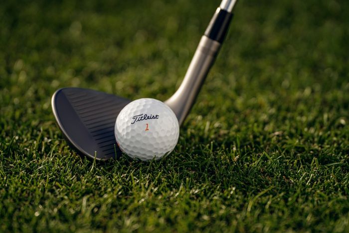 벨로시티. 사진 | 타이틀리스트