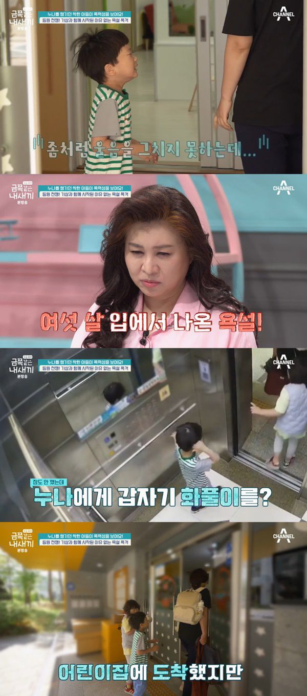 금쪽같은 내새끼/ 사진=채널A 금쪽같은 내새끼